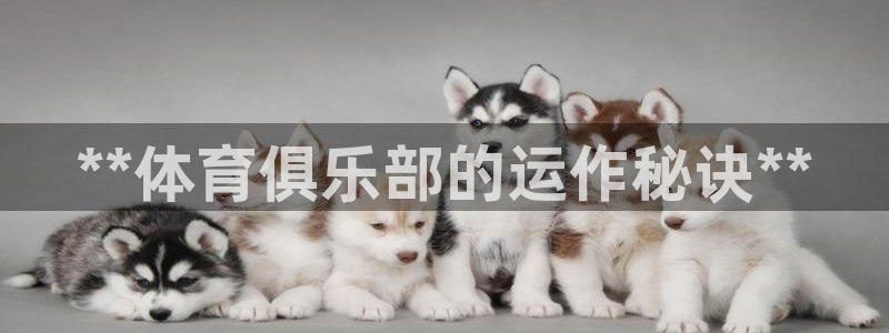 必一体育登录入口