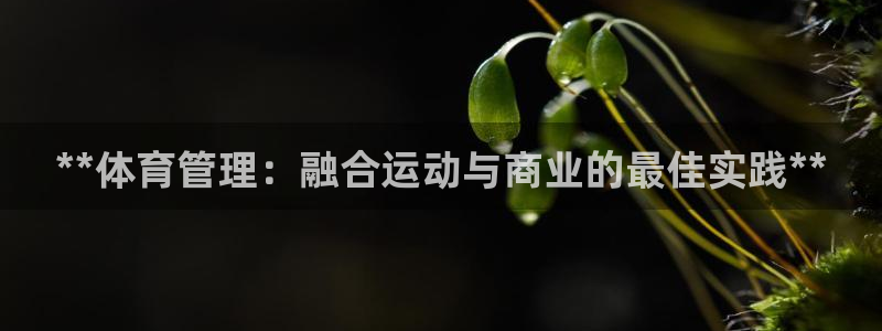 必一运动tieba.baidu.com
