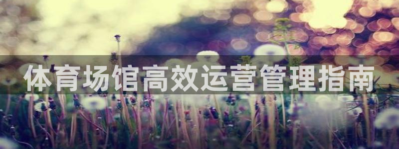 必一体育下载登入
