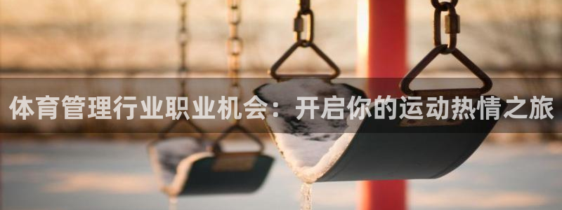 必一体育手机下载：体