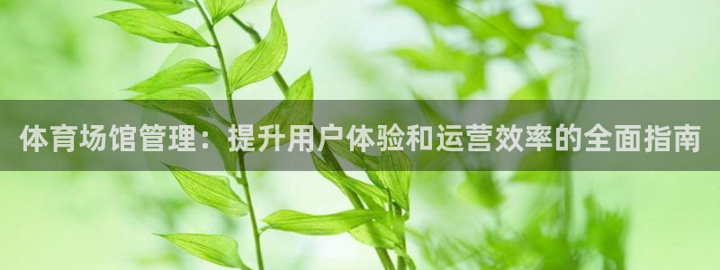 必一体育全站在线登录
