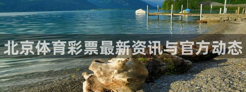 必一体育sport官网