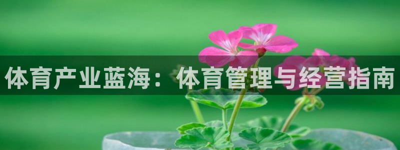 必一体育sportB体育