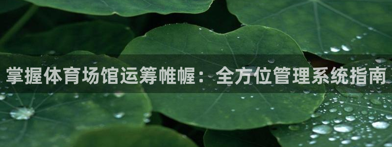 必一运动体育官网