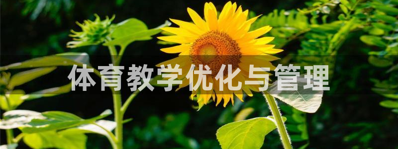 必一运动 b 体育素
