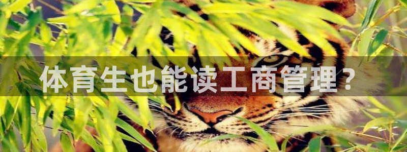 必一体育官网入口：体