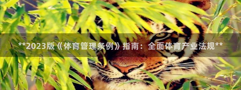必一体育下载：**2