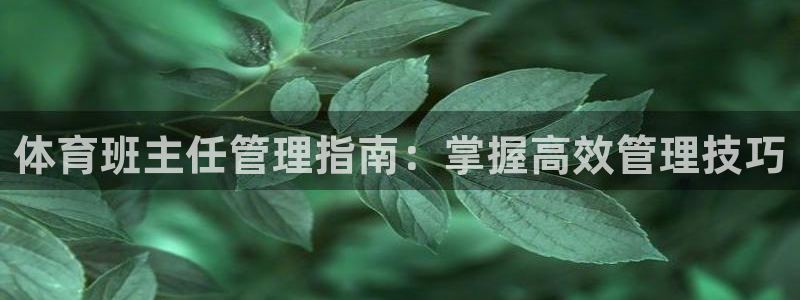 必一体育网站
