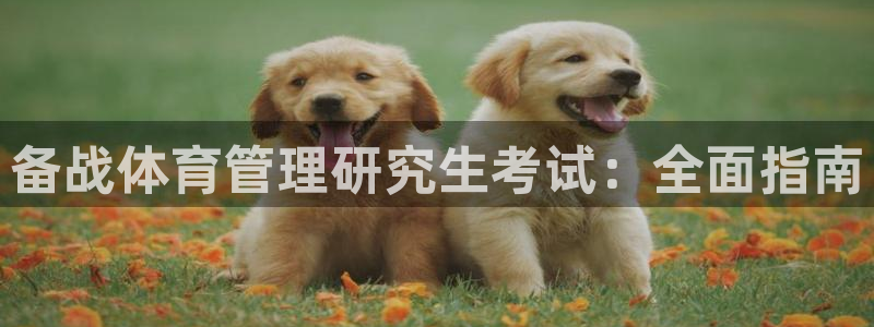 必一运动bsport体育app下载