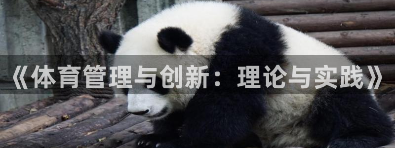 必一体育app官方网