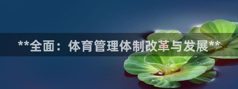 必一体育登录