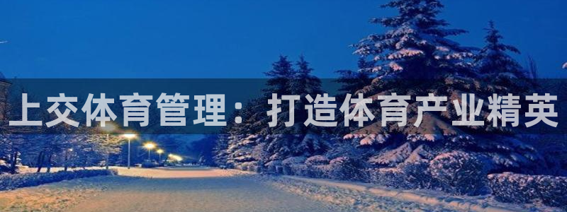 必一体育sportB体育
