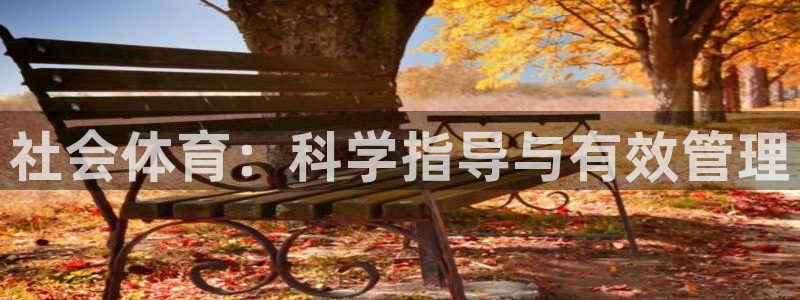 必一体育能提现大金额吗：社会体育：科学指导与有效管理