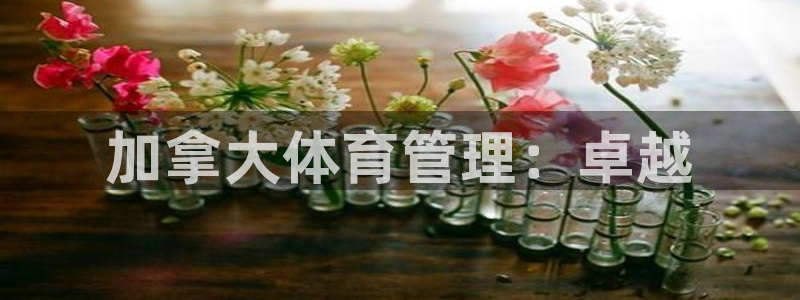 必一体育合法吗：加拿