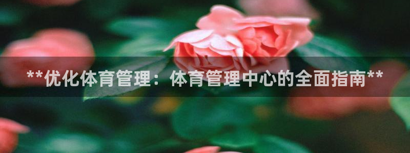 必一体育流水线是什么意思：**优化体育管理：体育管理中心的全