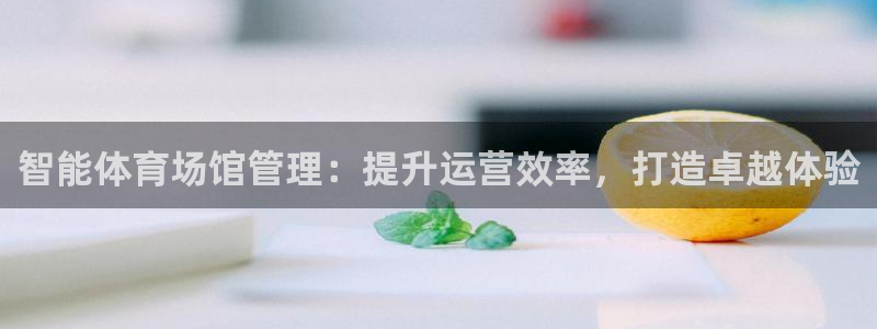 必一体育官网app