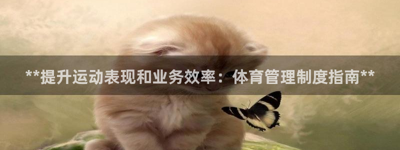 必一体育合法吗：**