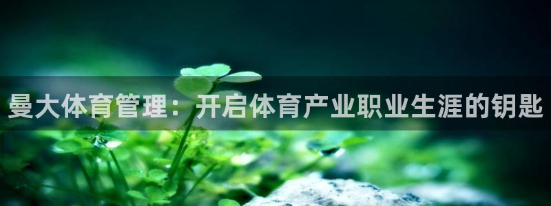 必一体育app官方网站