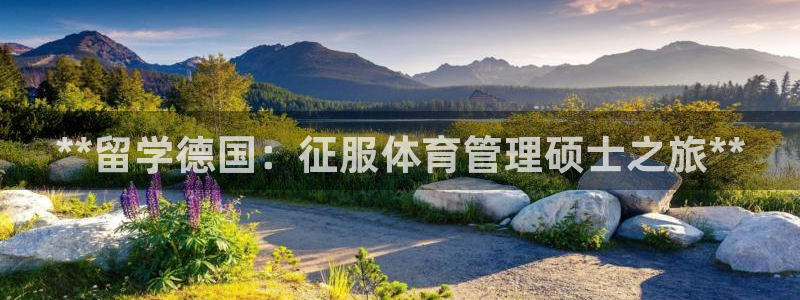 必一体育手机下载