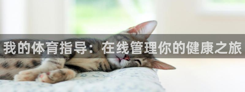 必一体育网页登陆：我
