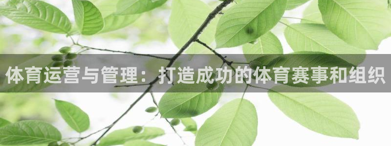 必一体育在线下载：体