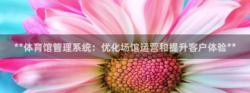 必一体育游戏玩法：*