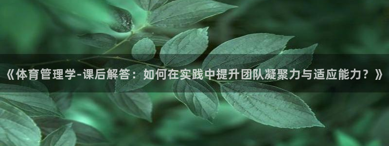 必一体育app官方网