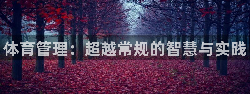 必一体育合法吗：体育