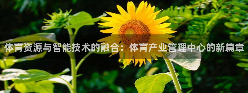 必一体育官方网站入口