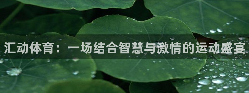 必一体育下载登入：汇