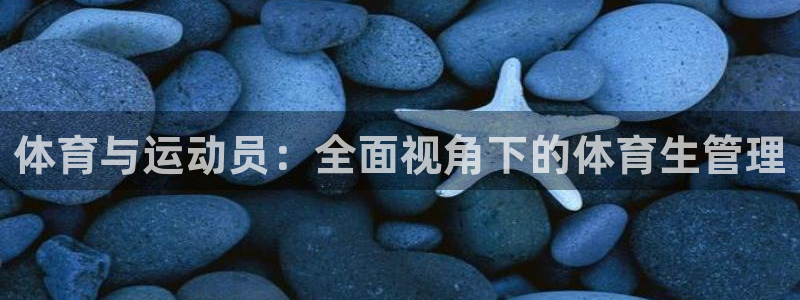 必一体育网页版登录：