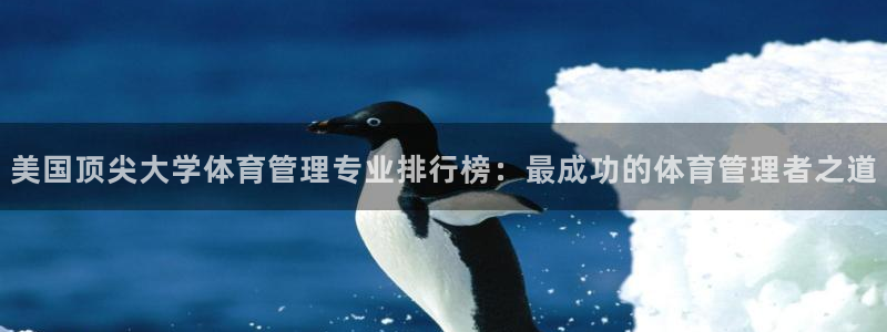 b体育必一运动网页版