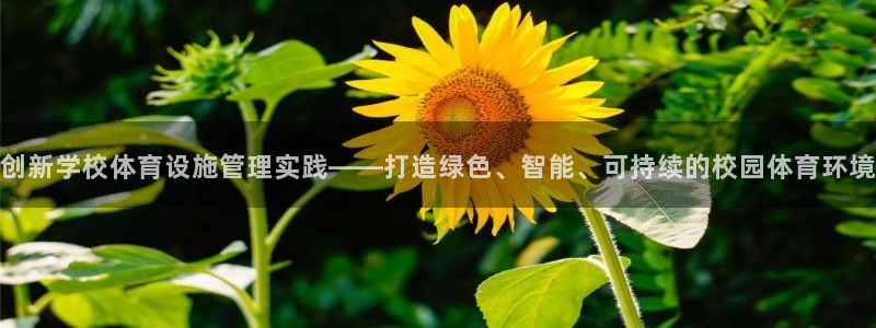 必一体育登录：创新学