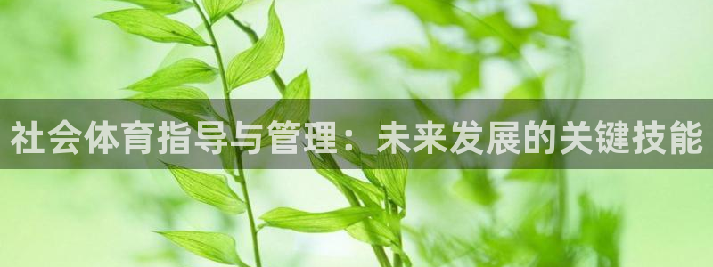 必一体育官网app：社会体育指导与管理：未来发展的关键技能