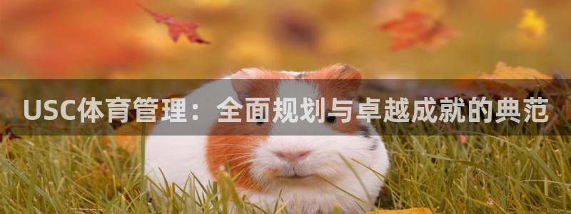 必一体育在线官网：U