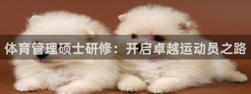 必一体育下载入口：体