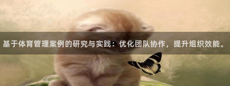 必一体育app官方下