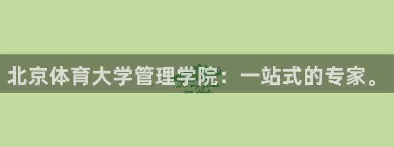 必一体育sport官