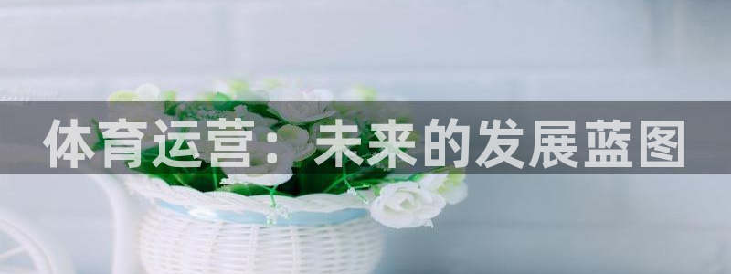 必一体育官网网址：体