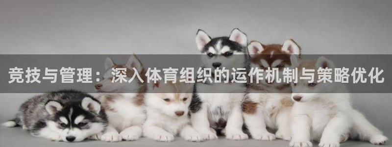 必一体育没了：竞技与
