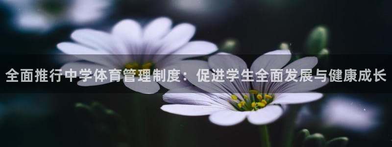 必一体育app官方：