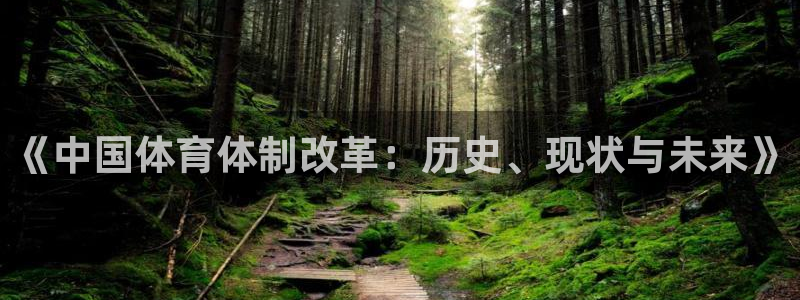必一运动aop：《中国体育体制改革：历史、现状与未来》