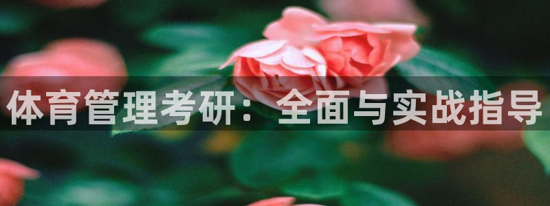 必一体育下载app：