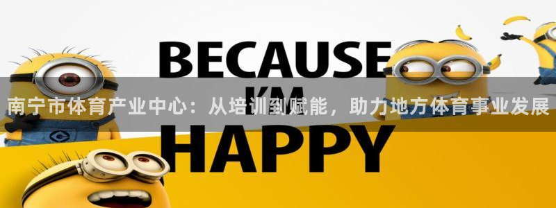 必一体育是啥：南宁市