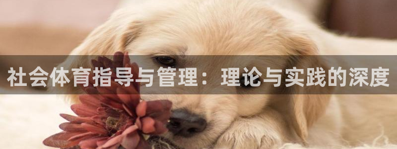 必一体育合法吗：社会