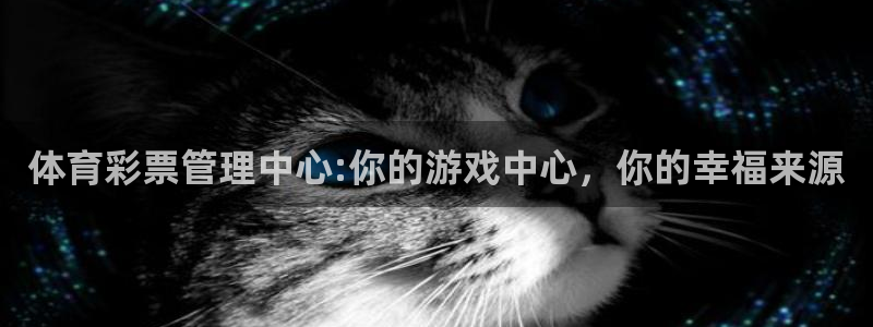 必一体育sportB体育：体育彩票管理中心:你的游戏中心，你