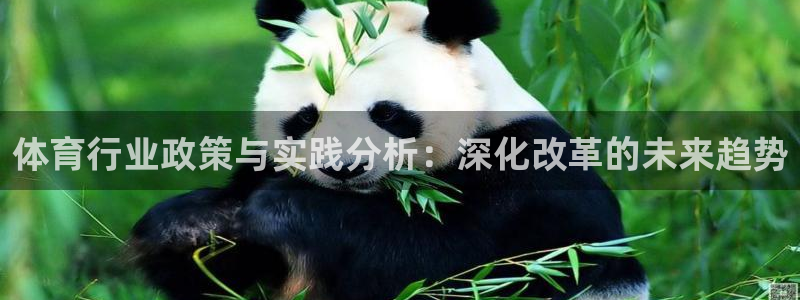 必一运动体育官网：体