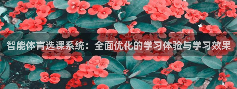必一体育电子app：智能体育选课系统：全面优化的学习体验与学