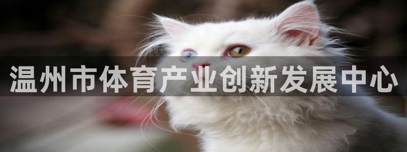 必一体育app下载：温州市体育产业创新发展中心