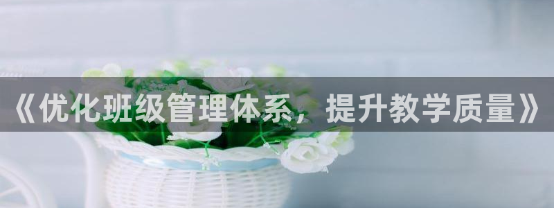 必一体育旧版：《优化
